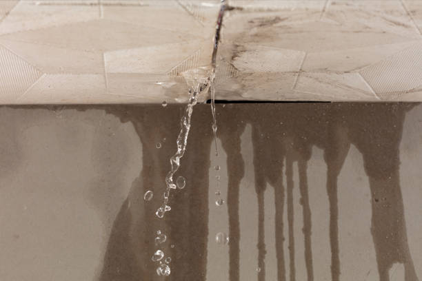 Professional Water Damage Repair technician working in Graford, TX